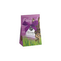 Pralinenschachtel "Hase", 2er Pack